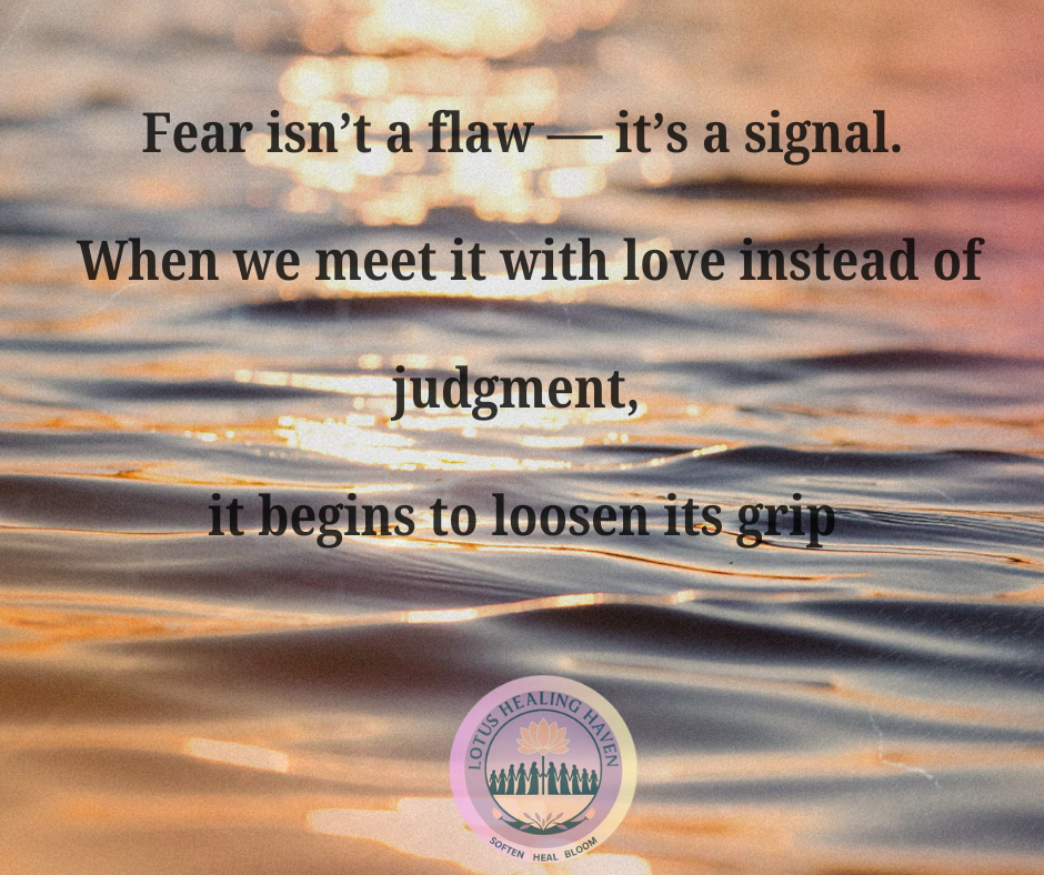 How I Went from Living in Constant Fear to Finding a Softer Way Through Life